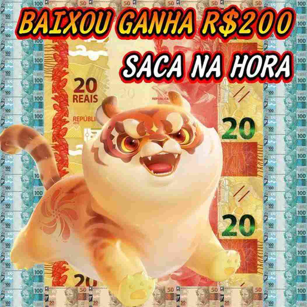 cnc bet horarios - CNC BET